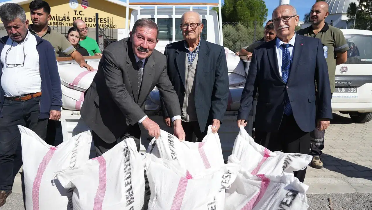 Milas Belediyesi’nden Ücretsiz Buğday Tohumu