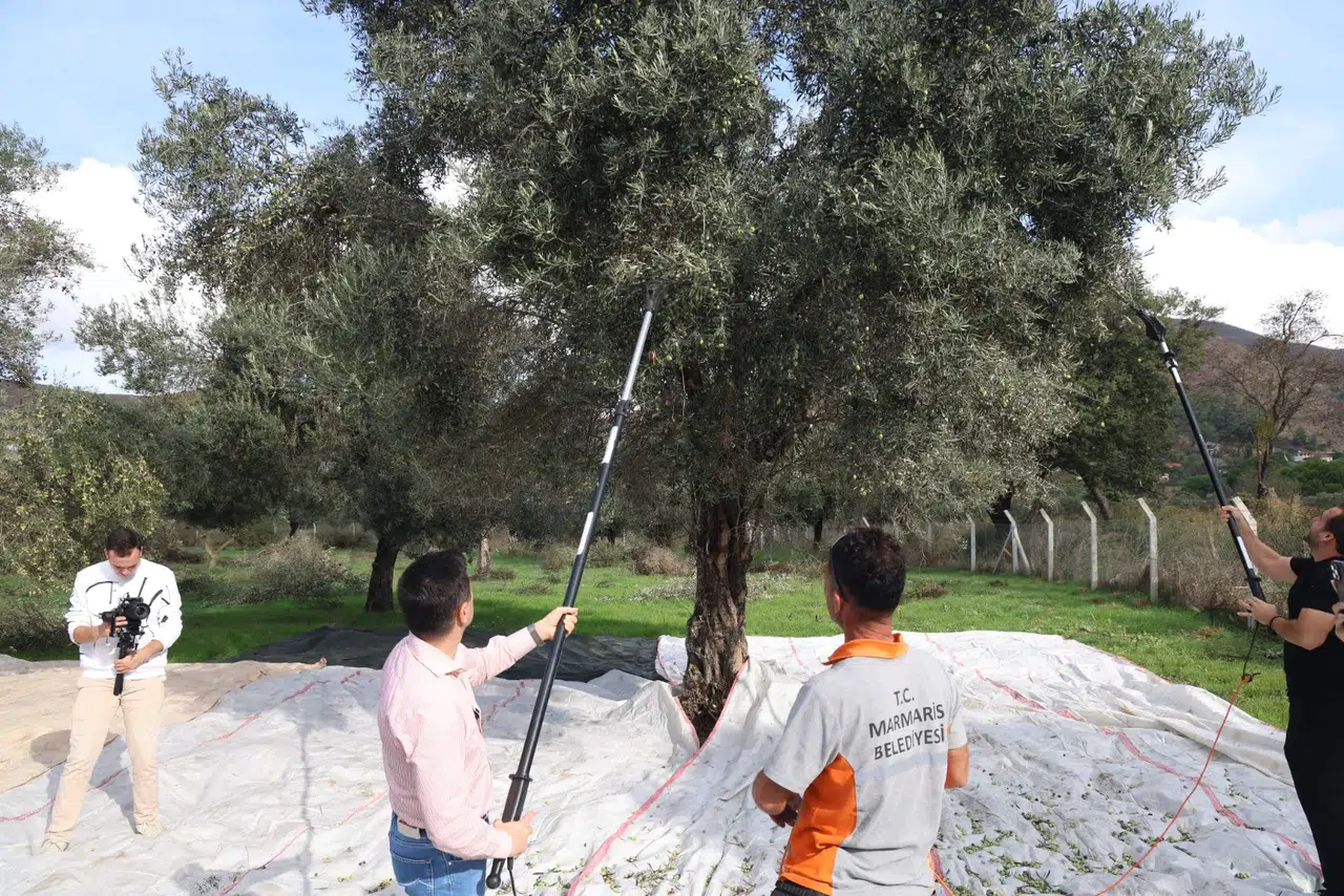 Zeytin Dalından Tanıtıma: Marmaris’in Kendi Yağlarıyla Fuar Stratejisi