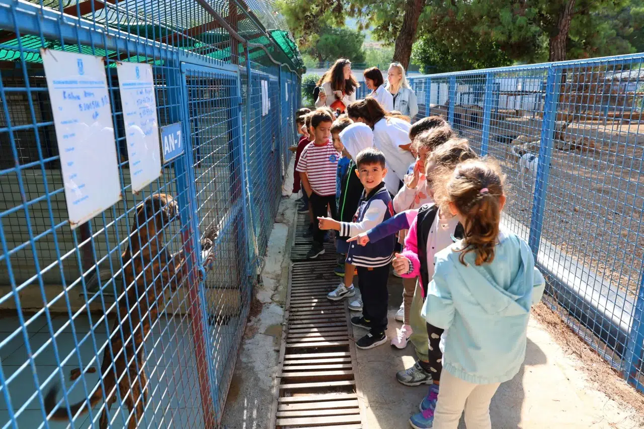 Bodrum Belediyesi Sokaklardaki Dostlarının Yanında