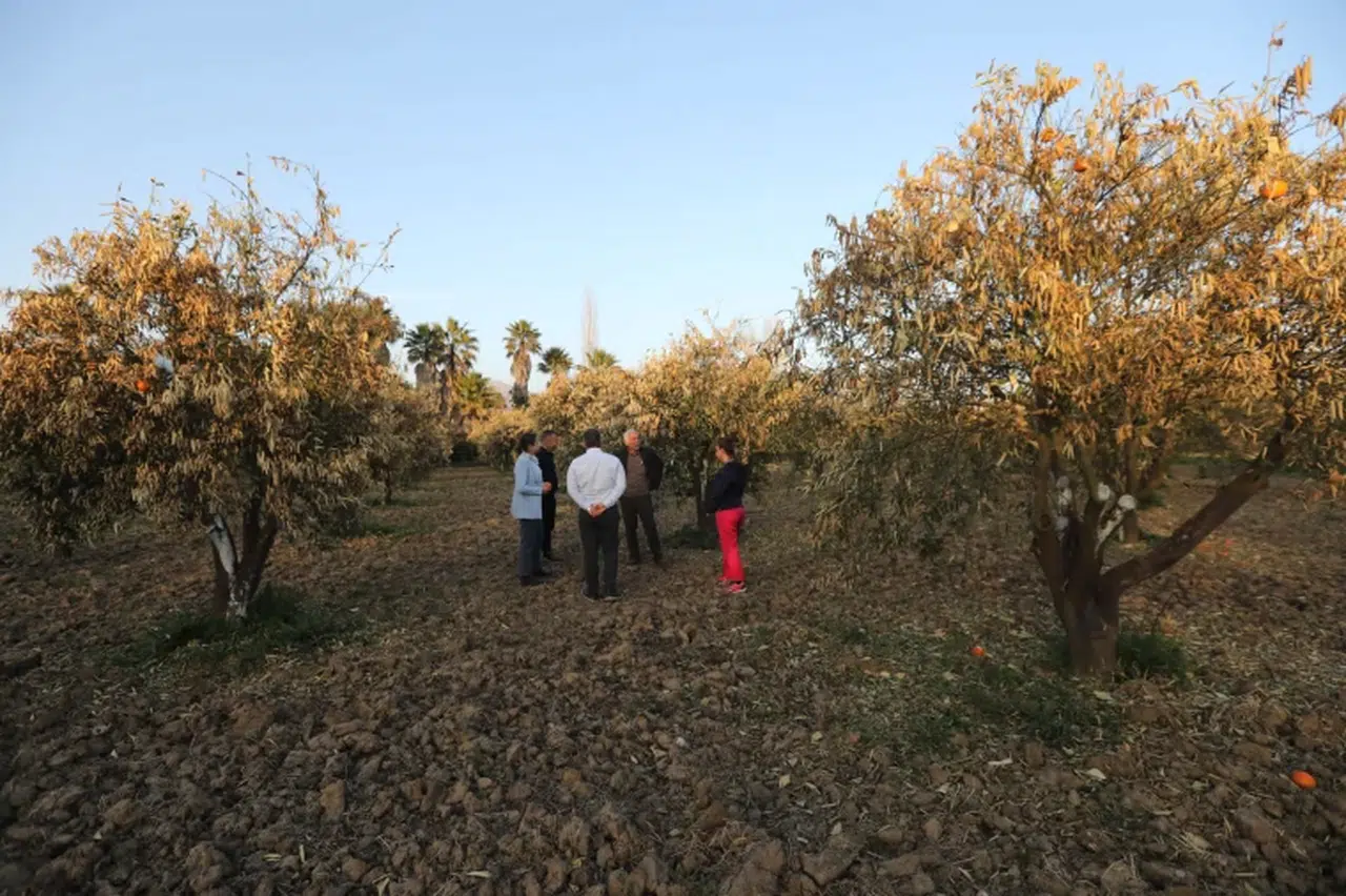 MUPA’dan Çarpıcı Rapor: Muğla’da Her 4 Çiftçiden Biri Mesleği Bırakmayı Düşünüyor