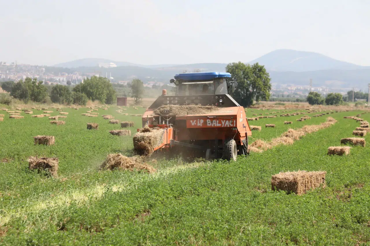Muğla Büyükşehir’den Üreticiye Ücretsiz Tohum Desteği