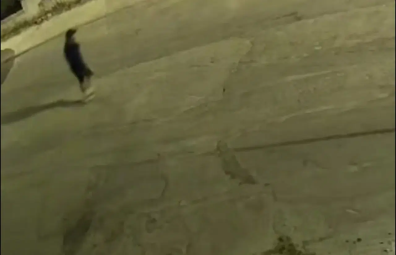 Gonca Köksal Aras’ın Ailesine Saldıran İki Şüpheli Gözaltına Alındı