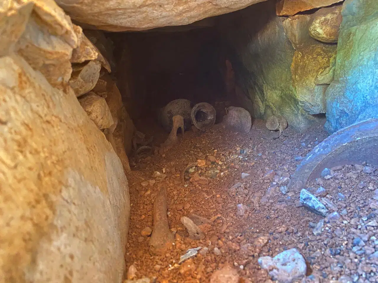 Menteşe’de Su Deposu Kazısında 6 Mezar Bulundu! Çalışmalar Durduruldu