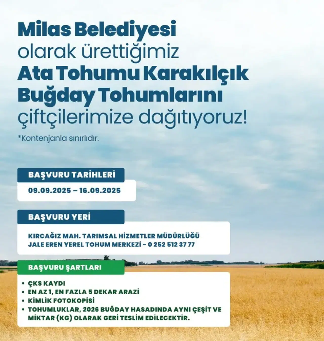Toprağa Umut Seriliyor: Milas’ta Karakılçık Buğdayı Desteği