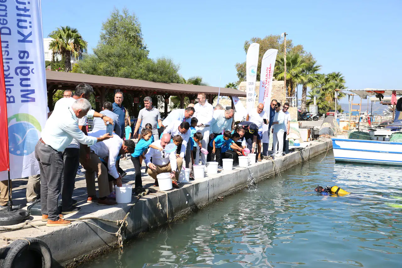Milas Boğaziçi’nde 160 Bin Yavru Balık Denize Bırakıldı