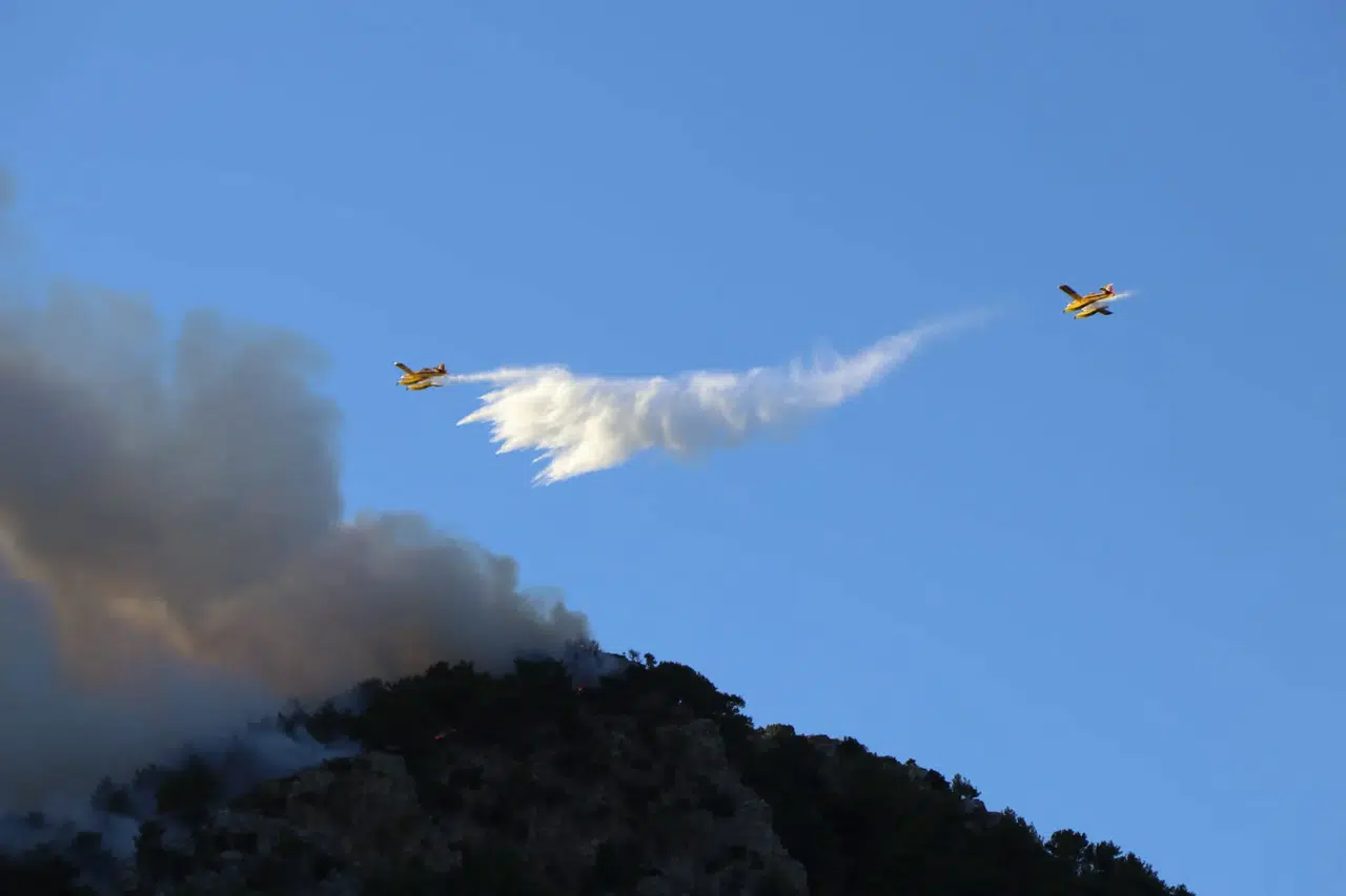 Muğla’da Orman Yangınlarında 2  Şüpheli Gözaltında