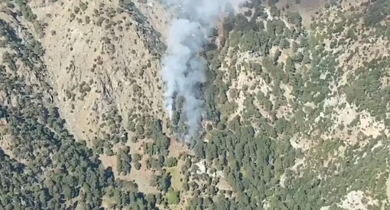 Otmanlar’da orman yangını çıktı