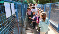 Bodrum Belediyesi Sokaklardaki Dostlarının Yanında