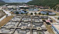 MUSKİ’den Marmaris’te Önemli Yatırım: İlk Uygulama Hayata Geçti