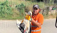 Görevi Başındayken Fark Etti, Yaralı Leyleğin Hayatını Kurtardı