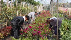 28 Milyon Adetlik Dev Üretim Hacmi…Büyükşehir’den Yerel Kalkınmaya Güçlü Katkı