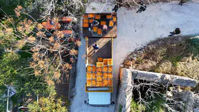 Bodrum Mandalini Ekonomiye 5 Milyon TL Kazandırdı