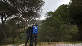 Muğla'da Çam Kozalağı Zararlısına Doğal İlaç ve Destek Programı Başlatıldı
