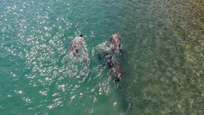 Bodrum’da Deniz Dibi Temizliği Sürüyor: Sıradaki Durak Torba