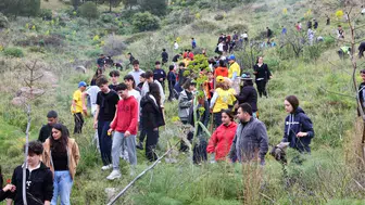 Bodrum’da Doğa İçin El Ele! Yanan Orman Yeniden Hayat Buluyor