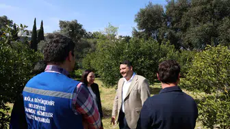 Bodrum Mandalini İçin Kritik Eğitim: Üreticilere Budama Anlatıldı