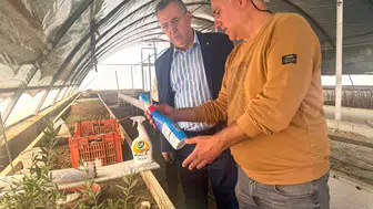 Fethiye Zeytinyağı İçin Tescil Süreci Başladı