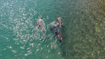 Bodrum’da Deniz Dibi Temizliği Sürüyor: Sıradaki Durak Torba