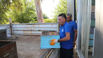 Muğla’da Arıcılık İçin Seferberlik! Türkiye’de Eşi Yok