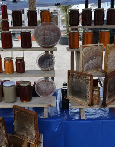 Muğla’da 20 Bin Tonluk Hasat Gururu! Çam Balı Festivaliyle Taçlandı