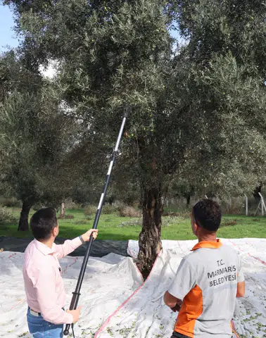 Zeytin Dalından Tanıtıma: Marmaris’in Kendi Yağlarıyla Fuar Stratejisi