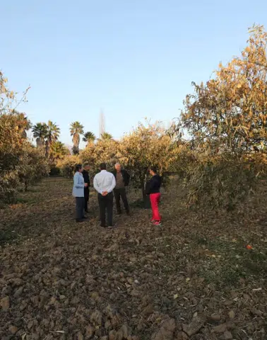 MUPA’dan Çarpıcı Rapor: Muğla’da Her 4 Çiftçiden Biri Mesleği Bırakmayı Düşünüyor