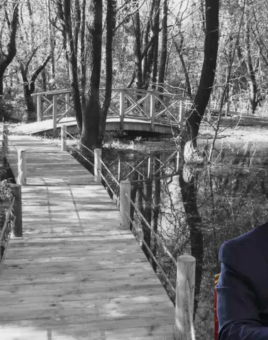 Başkan Aras’tan Milli Parklar Uyarısı: “Geri Dönülmez Kayıplar Yaşanabilir”