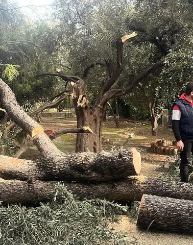 Fırtına Bir Anda Bastırdı… Milas Belediyesi Alarm Verdi