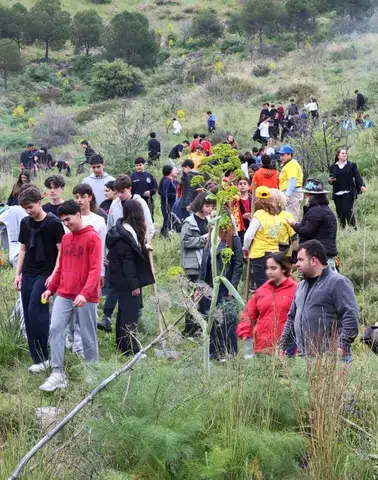 Bodrum’da Doğa İçin El Ele! Yanan Orman Yeniden Hayat Buluyor