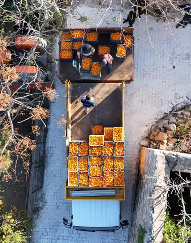 Bodrum Mandalini Ekonomiye 5 Milyon TL Kazandırdı