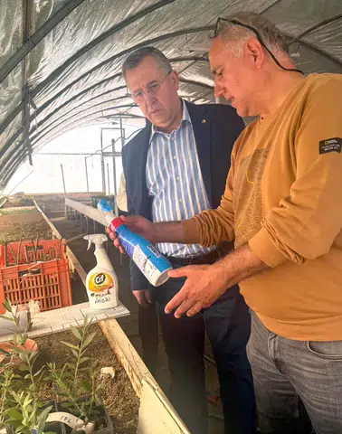 Fethiye Zeytinyağı İçin Tescil Süreci Başladı