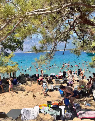 Büyükşehir Yargıya Taşıdı, Bilirkişi Yerle Bir Etti: ÇED Kararı Çöktü!