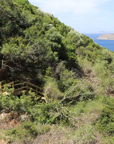 Taşlıca Ekoturizmde Yükseliyor! Marmaris’te Yeni Doğa Rotası