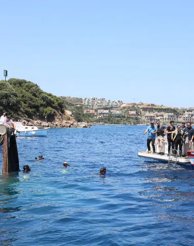 Denizler İçin Seferberlik: Muğla’da 25 Bin Yavru Levrek Doğaya Bırakıldı
