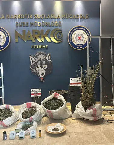 Muğla'da Narkotik Operasyonu: Villayı Sera Gibi Kullanmışlar!