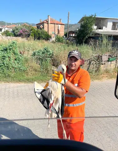 Görevi Başındayken Fark Etti, Yaralı Leyleğin Hayatını Kurtardı