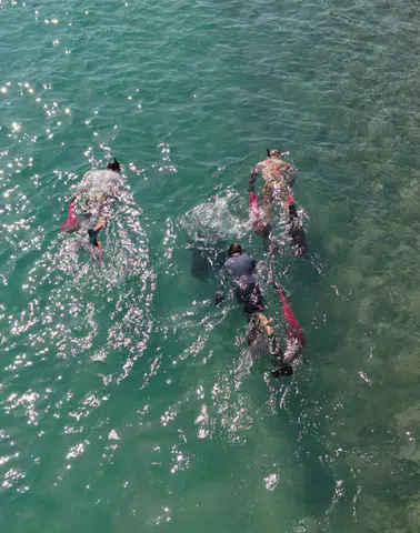 Bodrum’da Deniz Dibi Temizliği Sürüyor: Sıradaki Durak Torba