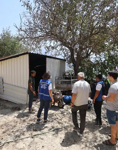 Seydikemer'de Yangının Ardından Büyükşehir Harekete Geçti