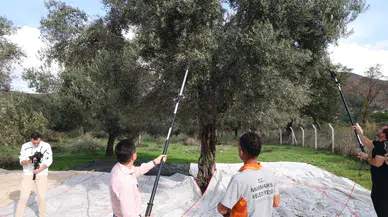 Zeytin Dalından Tanıtıma: Marmaris’in Kendi Yağlarıyla Fuar Stratejisi