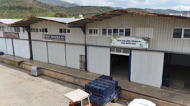 Yeni Şarap Tesisiyle Yeşilüzümlü’de Markalı Üretim Yolunda