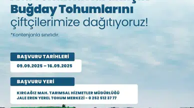 Toprağa Umut Seriliyor: Milas’ta Karakılçık Buğdayı Desteği