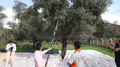 Zeytin Dalından Tanıtıma: Marmaris’in Kendi Yağlarıyla Fuar Stratejisi