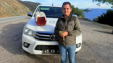 4 Keklik 28 Bin TL’ye Mal Oldu!