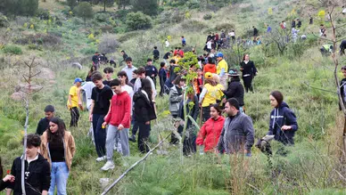 Bodrum’da Doğa İçin El Ele! Yanan Orman Yeniden Hayat Buluyor