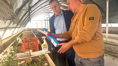 Fethiye Zeytinyağı İçin Tescil Süreci Başladı