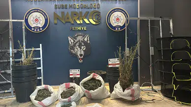 Muğla'da Narkotik Operasyonu: Villayı Sera Gibi Kullanmışlar!