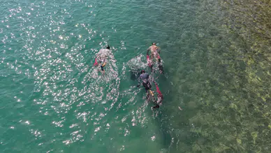Bodrum’da Deniz Dibi Temizliği Sürüyor: Sıradaki Durak Torba