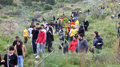 Bodrum’da Doğa İçin El Ele! Yanan Orman Yeniden Hayat Buluyor