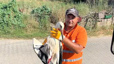 Görevi Başındayken Fark Etti, Yaralı Leyleğin Hayatını Kurtardı