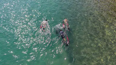 Bodrum’da Deniz Dibi Temizliği Sürüyor: Sıradaki Durak Torba